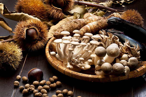 istock Food ingredients in autumn 629952992