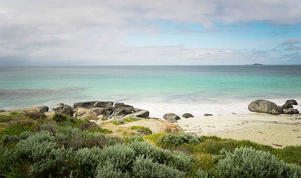 istock along the Indian Ocean 629954594