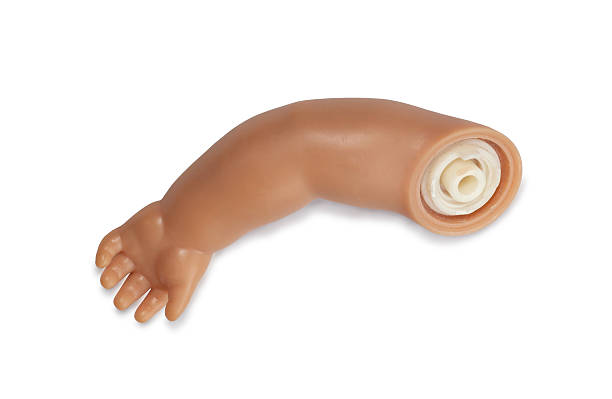 istock Separated arm of a doll 629954716