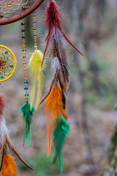 istock Dreamcatcher made of feathers, leather, beads, and ropes 629955032