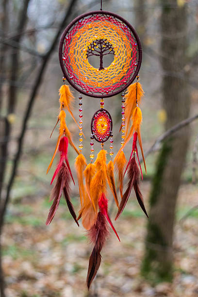 istock Dreamcatcher made of feathers, leather, beads, and ropes 629955940