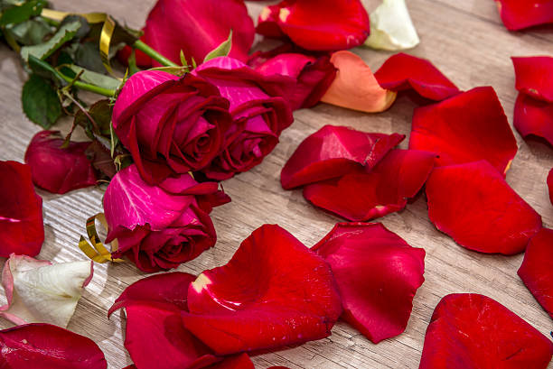 istock red rose with loose petals on desk background. 629957052