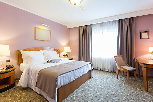 새로운 호텔 더블 침대 침실의 인테리어 - bedroom authority domestic room luxury 뉴스 사진 이미지