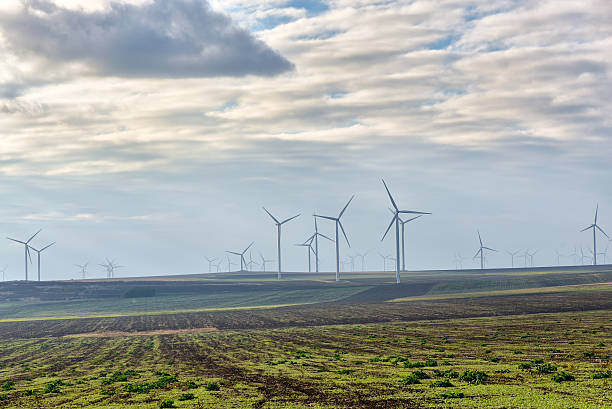 istock Eolian field and wind turbines farm on a cloudy day 629959428