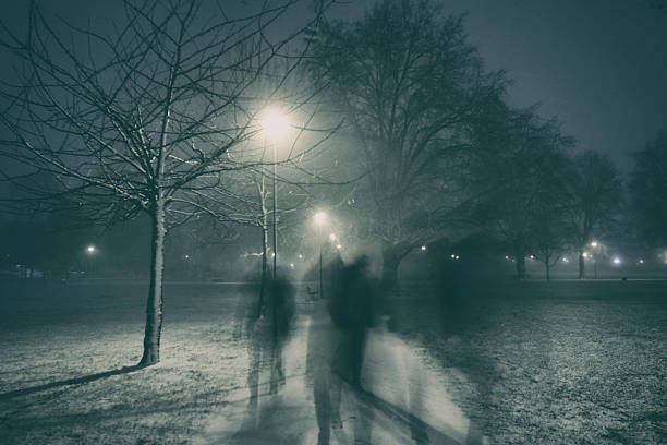 istock Snow In A London Park At Night 629960472
