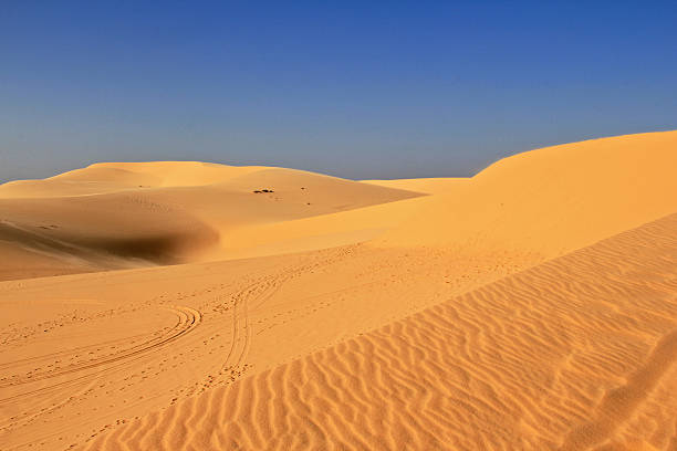 istock the desert pattern at Muine South Veitnam 629961826