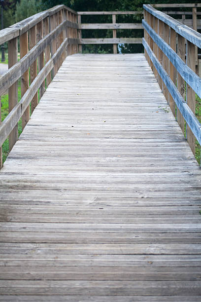 istock Elevated boardwalk trail, wooden footbridge, background. 629966092