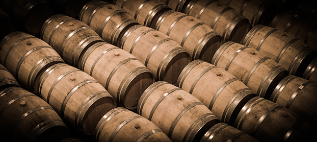 Barrels in Wine Cellar-Bordeaux Wineyard, France, Europe