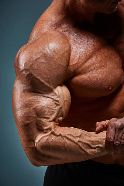 istock torso of attractive male body builder on gray background. 629984368