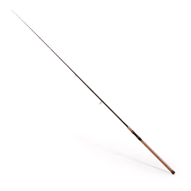 istock Carp feeder fishing rod 629984568