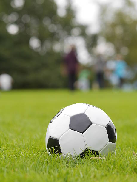 istock Soccer ball on green field 629986414