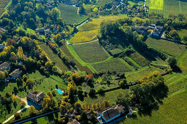 Aerial wiev Fronsac Vineyard landscape, Vineyard south west of France, Europe