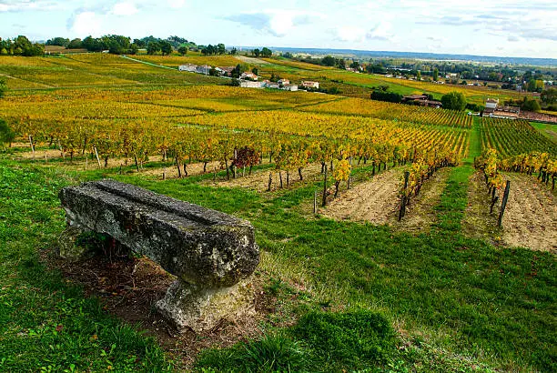 Fronsac Vineyard landscape, Vineyard south west of France, Europe