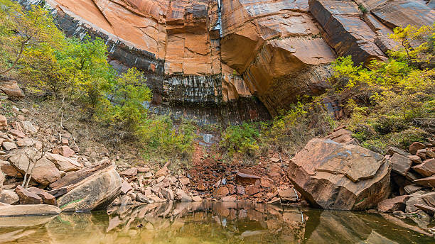 riflesso di roccia marrone nello stagno. - spring forest scenics reflection foto e immagini stock