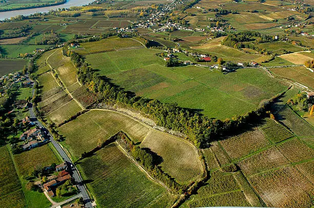 Aerial wiev Fronsac Vineyard landscape, Vineyard south west of France, Europe