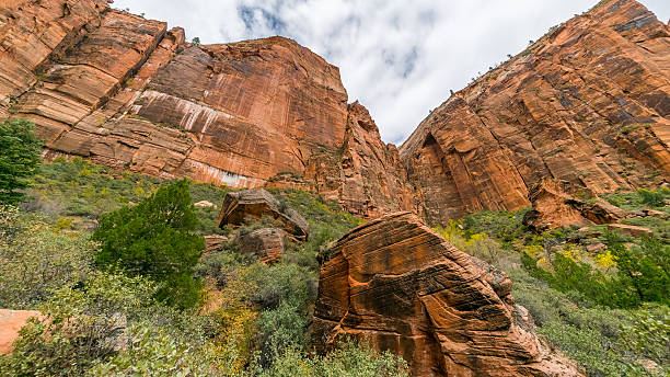 istock Scenic view of the canyon. 629996094