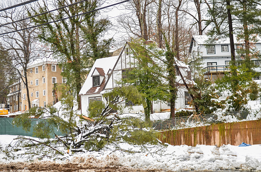 Charlottesville, United States - March 6, 2013: House by University of Virginia campus covered in snow on JPA street after winter storm