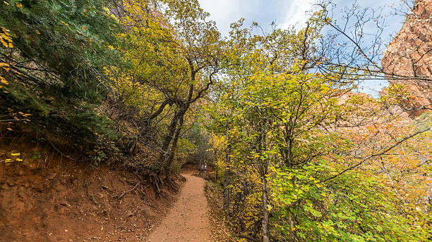 istock Narrow pathway through the canyon. 629997858