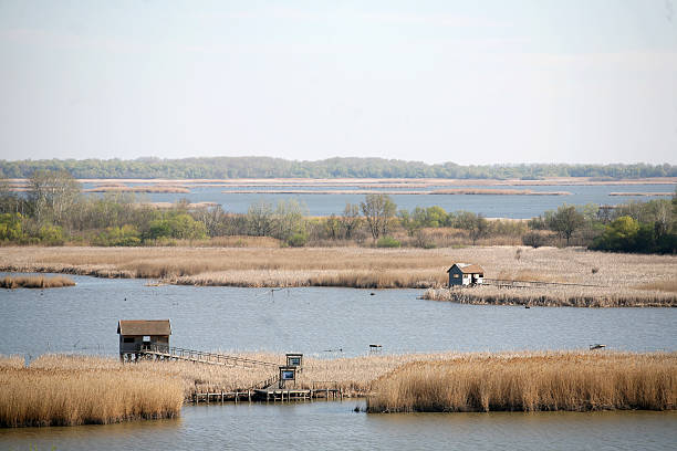 istock Houses on the lake 629999192