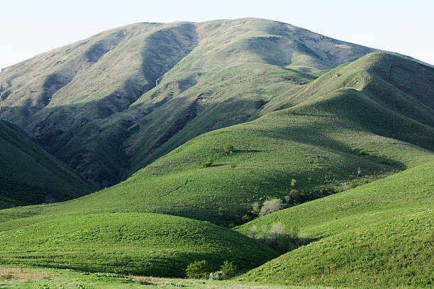 colinas verdes de trans-ili alatau - alatau - fotografias e filmes do acervo