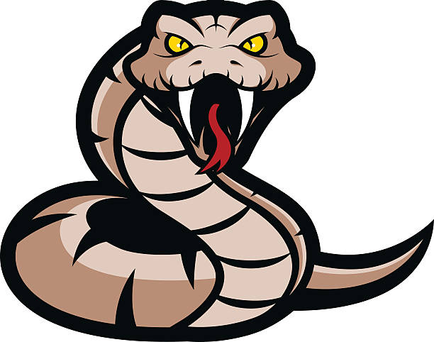 ilustrações, clipart, desenhos animados e ícones de víbora cobra mascote - snake cobra cartoon rattlesnake