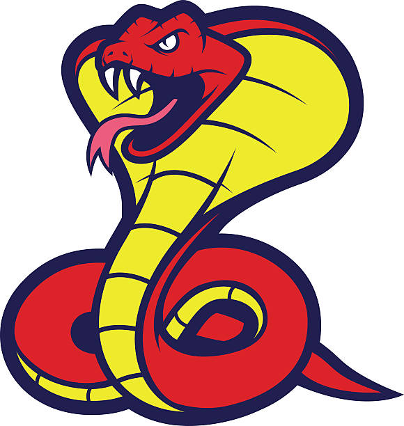 Cobra Snake Mascot Stock Illustration - Download Image Now - Mascot, Snake,  Aggression - iStock