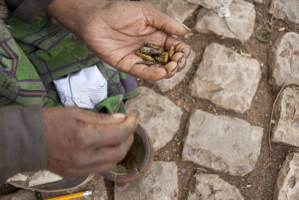 istock Sorted chile pepper in a poor man's hand, Harar, Ethiopia. 630009296