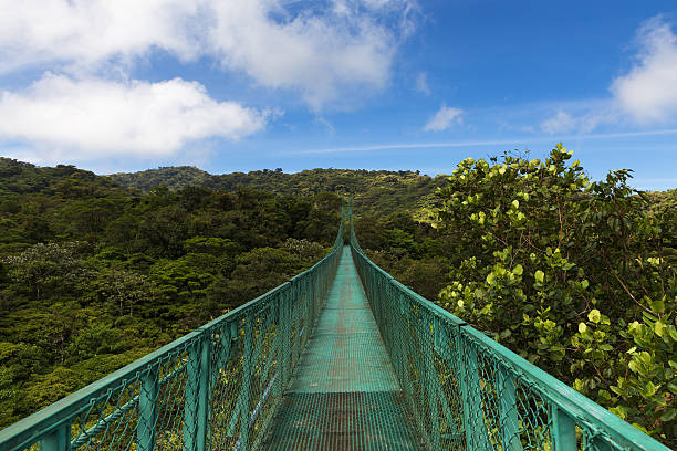 bridge over the canopy of trees in monteverde, costa rica - monteverde cloud forest imagens e fotografias de stock