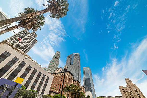 istock palms and skyscrapers in downtown Los Angeles 630016806
