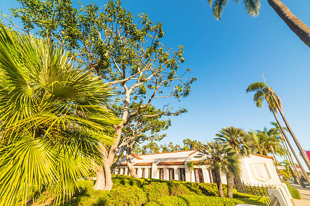 istock tropical vegetation in Santa Barbara 630019894