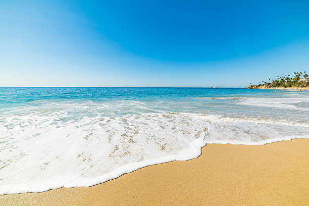 istock golden shore in Laguna Beach 630020912