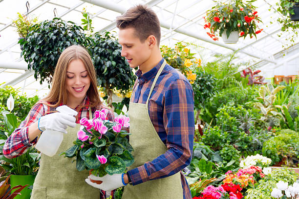 istock Working in the greenhouse 630021242