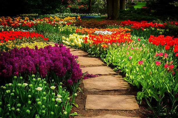 istock Stone path  winding in a garden 630021558