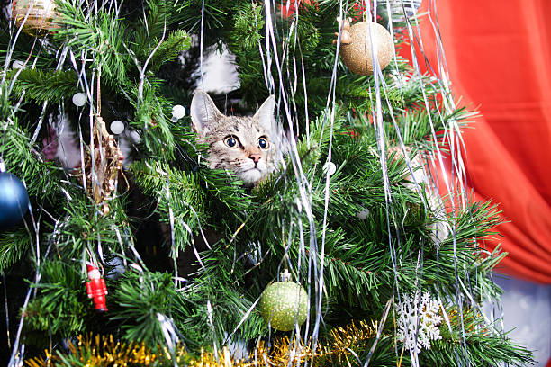 chat sur le sapin de noël. nouvel an - artificial tree photos et images de collection