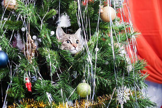 gatto sull'albero di natale. capodanno - christmas tree christmas tree artificial foto e immagini stock