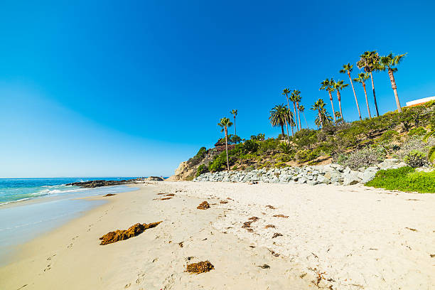 istock rocky shoreline in Laguna Beach 630021736