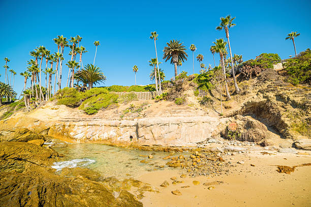 istock golden shore in Laguna Beach 630022120