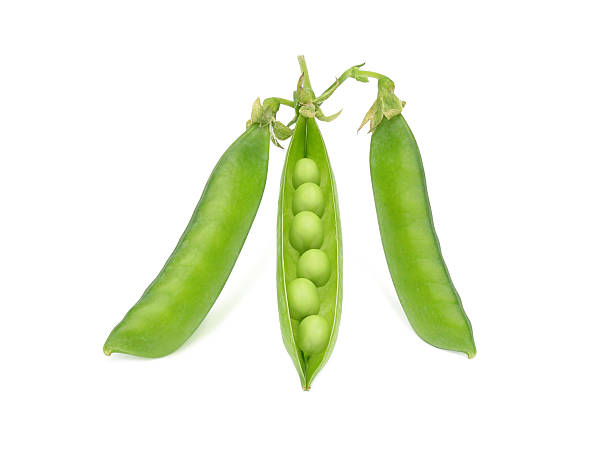istock Fresh green peas, isolated over white. 630022822