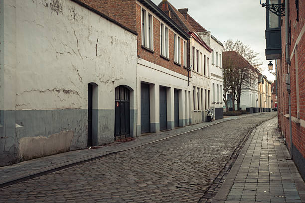 istock Autumn street in Bruges, Belgium 630022970