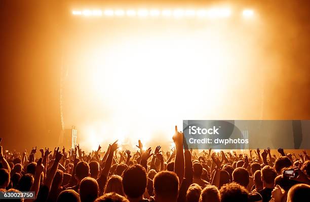 Concert Crowd Stock Photo - Download Image Now - Music Festival, Crowd of People, Stage - Performance Space