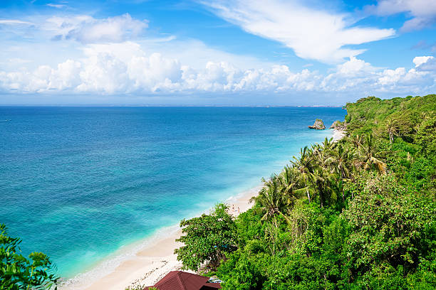 istock Beach, palms and the ocean in Bali 630023754