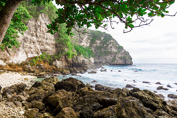 istock Beautiful cliffs and the ocean in the tropics 630024124