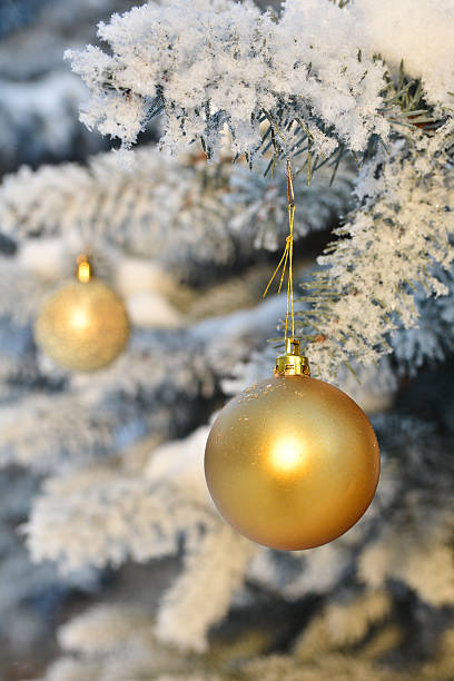 istock Winter - Christmas and New Year. 630038094