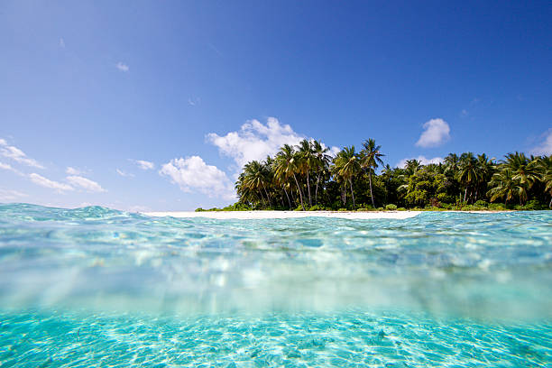 istock Split view of a deserted island 630040228