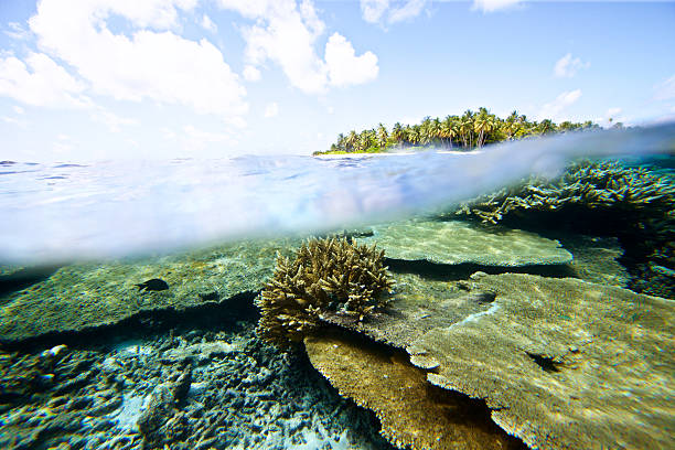 istock Split view of underwater coral with island in background 630040258