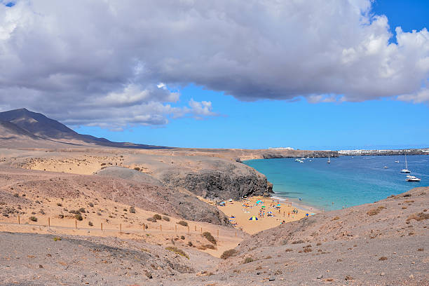 istock Landscape in Tropical Volcanic Canary Islands Spain 630049488