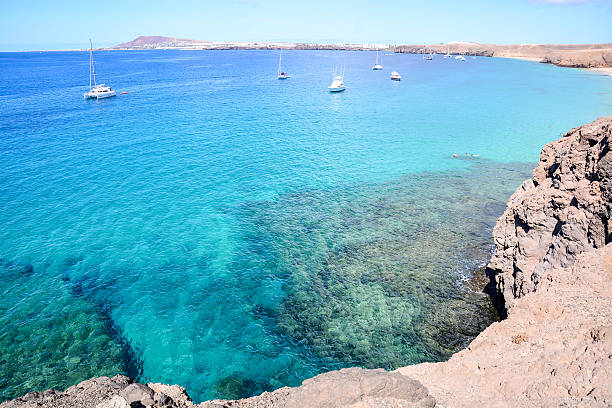 istock Landscape in Tropical Volcanic Canary Islands Spain 630049654