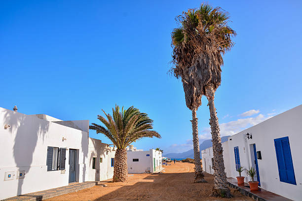 istock Landscape in Tropical Volcanic Canary Islands Spain 630050012