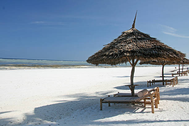 istock Azanzi Hotel, Zanzibar, Africa 630051490