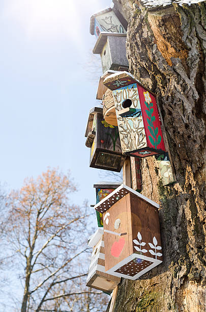 istock Wooden vintage birdhouses on old dry tree 630052910